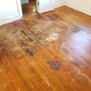An image of secondary damage on a floor from water damage
